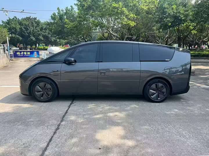 Фото 8 - LiXiang Mega