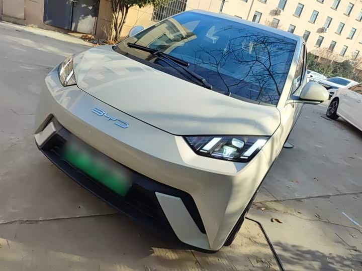 Фото 2 - BYD Seagull