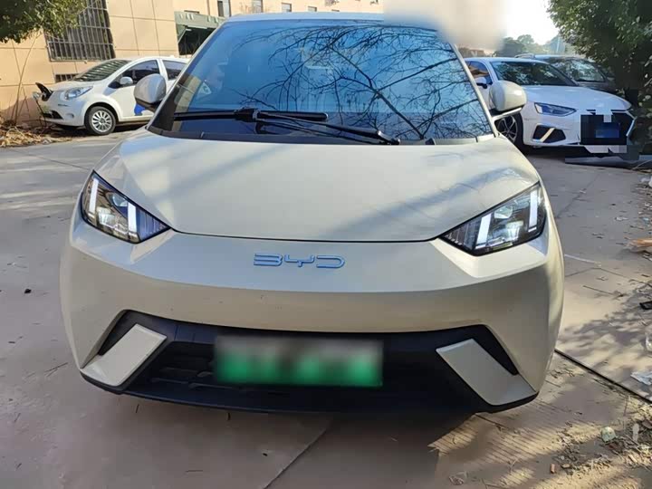 Фото 3 - BYD Seagull