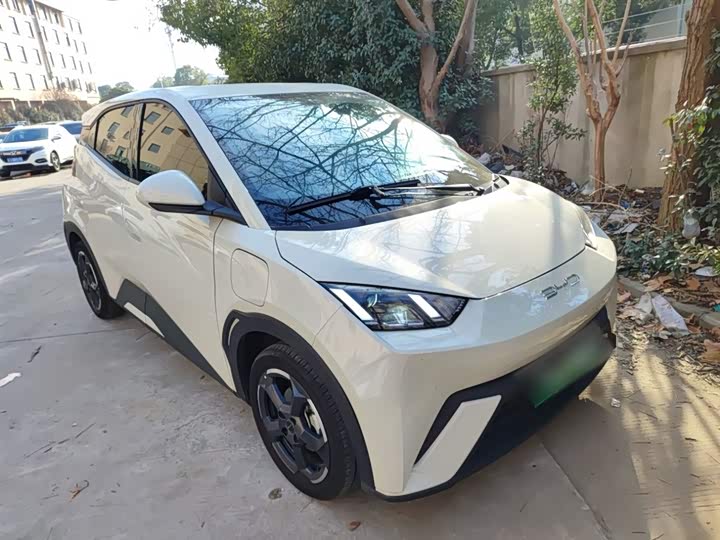 Фото 4 - BYD Seagull