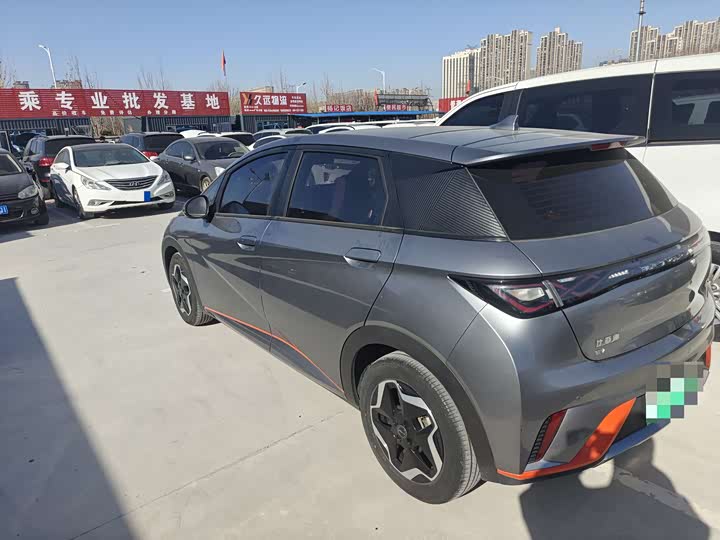 Фото 4 - BYD Dolphin