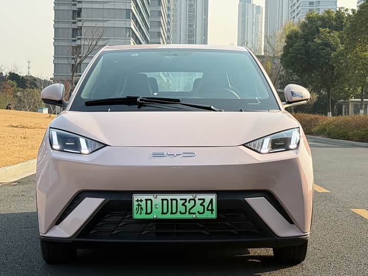 Фото 1 - BYD Seagull