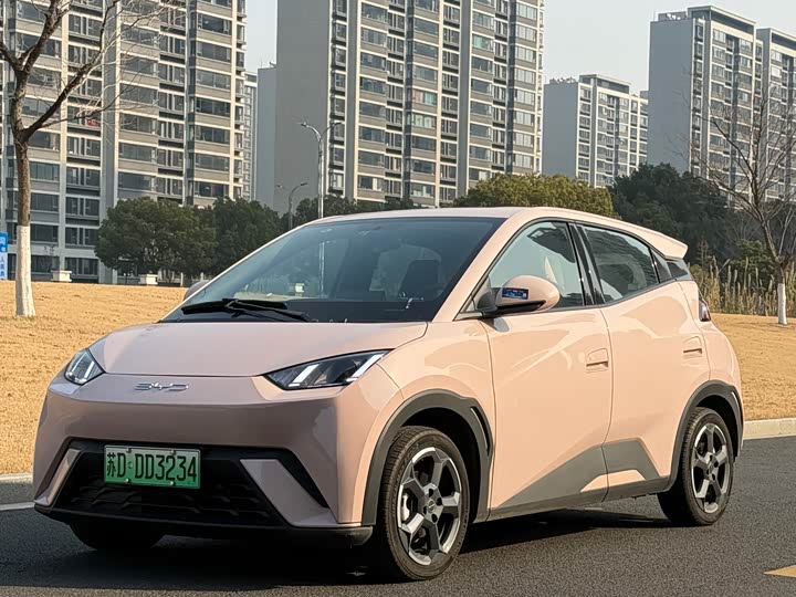 Фото 2 - BYD Seagull