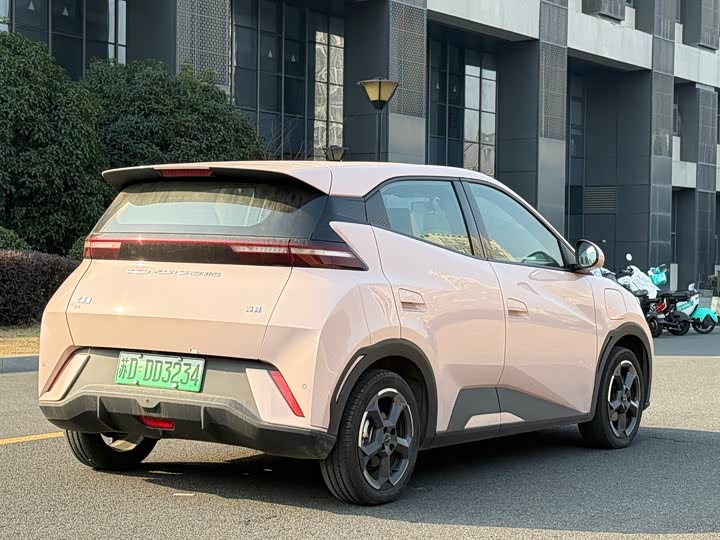 Фото 4 - BYD Seagull