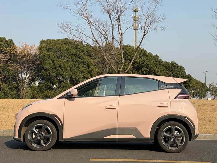 Фото 5 - BYD Seagull