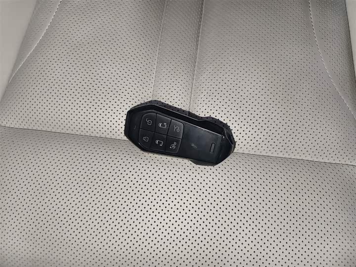 Фото 9 - XPeng X9