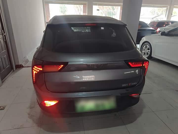 Фото 6 - Hozon V