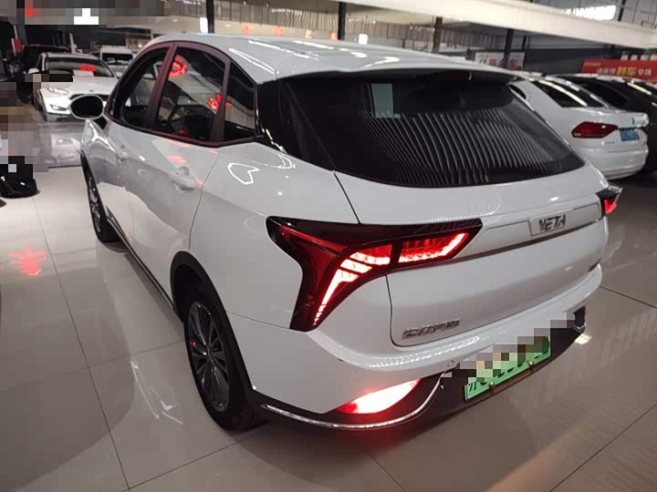 Фото 5 - Hozon V