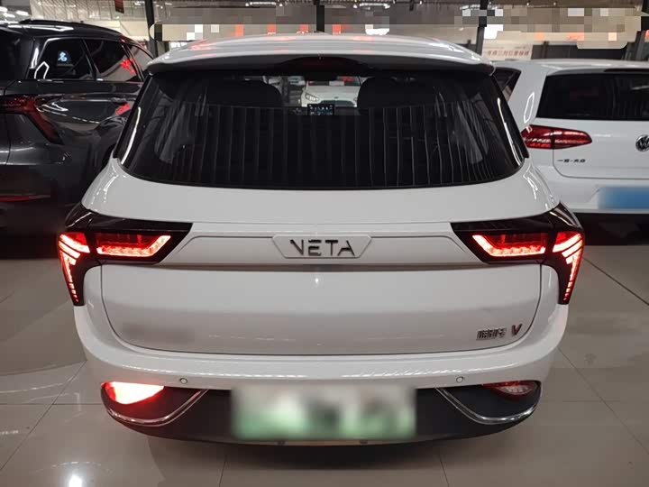 Фото 6 - Hozon V