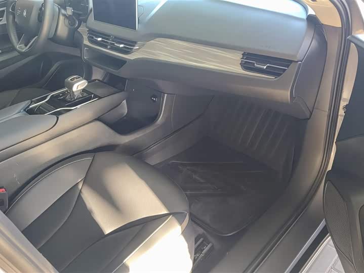 Фото 8 - Hongqi E-QM5