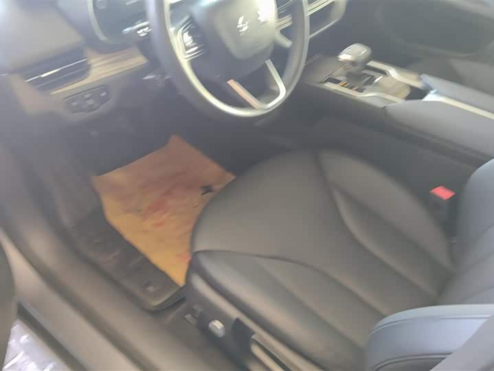 Фото 9 - Hongqi E-QM5