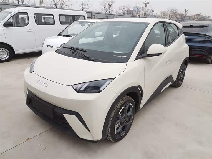 Фото 2 - BYD Seagull