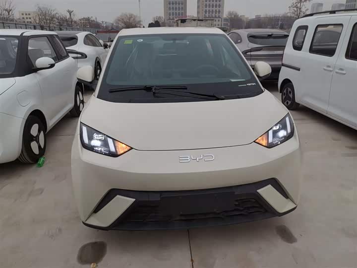 Фото 3 - BYD Seagull