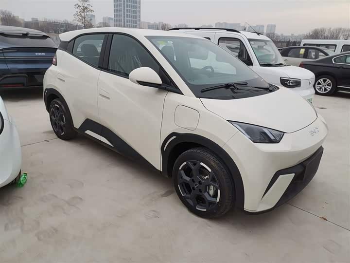 Фото 4 - BYD Seagull