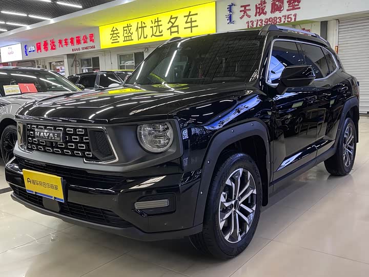 Фото 1 - Haval H-Dog