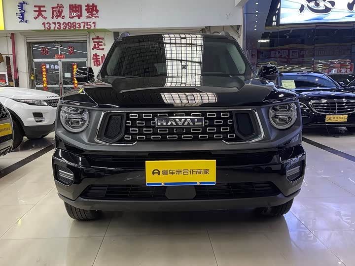 Фото 2 - Haval H-Dog