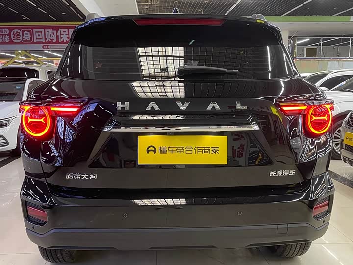 Фото 9 - Haval H-Dog