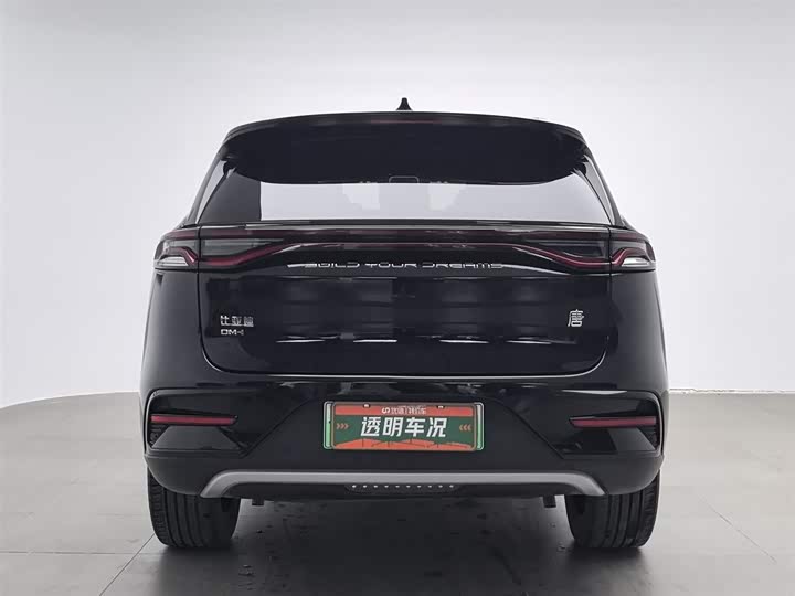 Фото 4 - BYD Tang Hybrid/EV