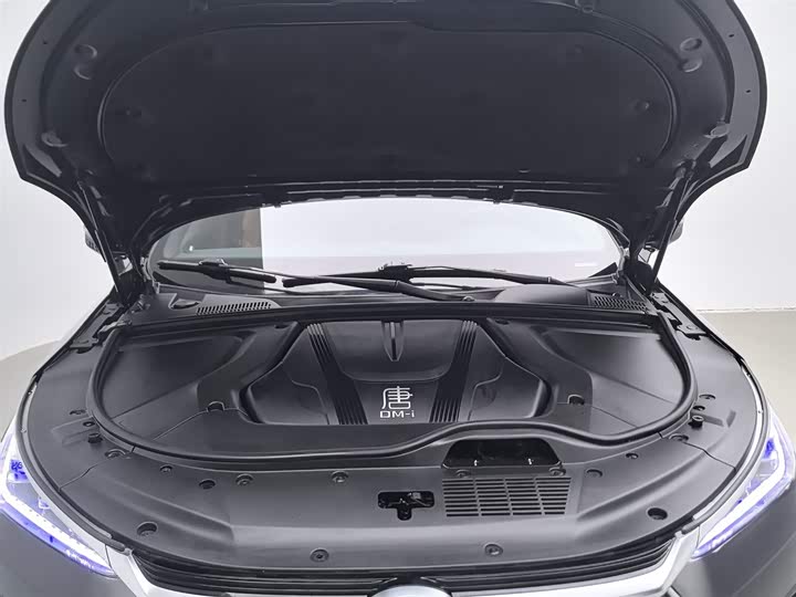 Фото 6 - BYD Tang Hybrid/EV