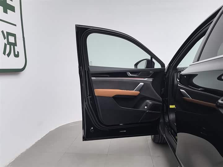 Фото 8 - BYD Tang Hybrid/EV