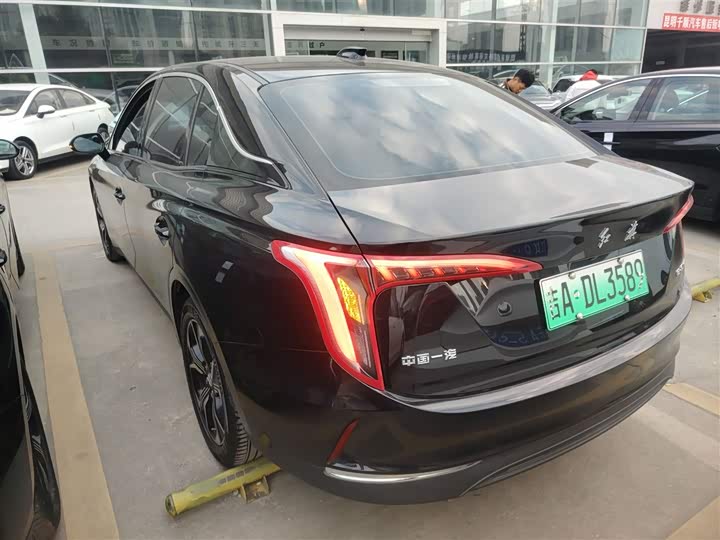 Фото 5 - Hongqi E-QM5