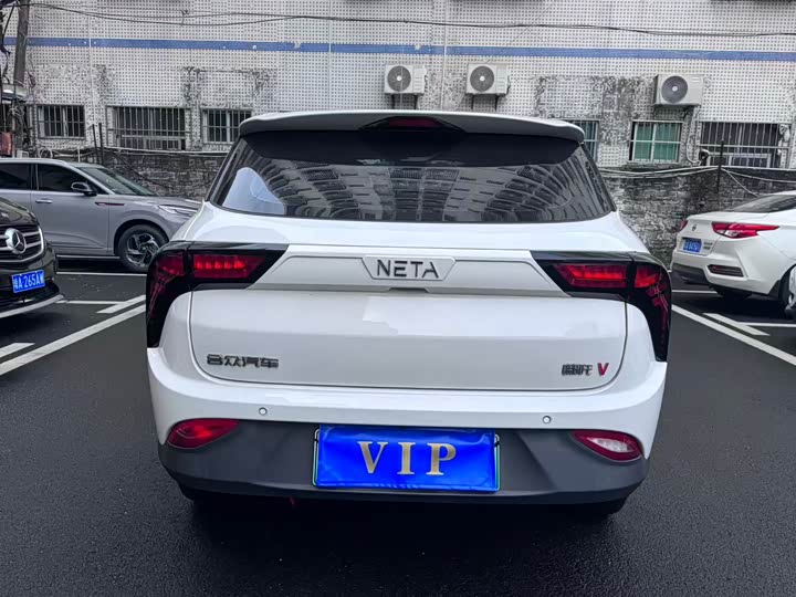 Фото 5 - Hozon V