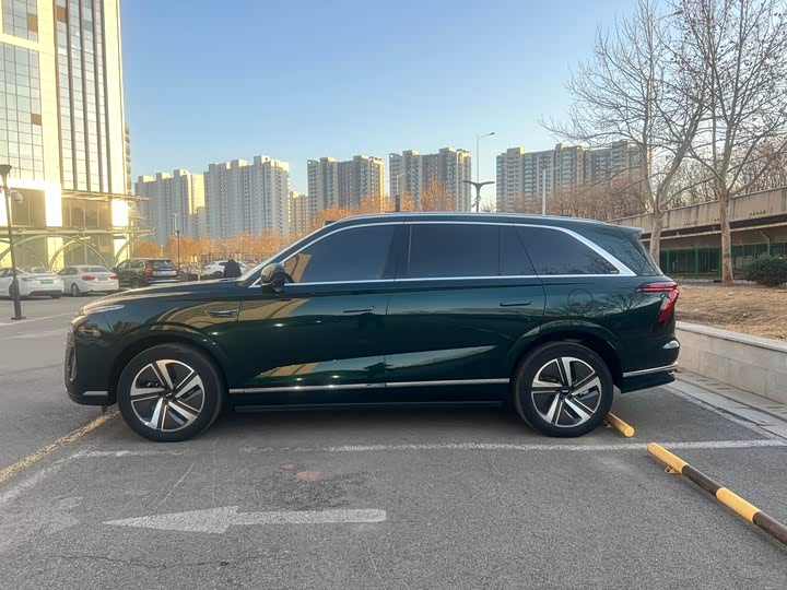 Фото 3 - Wey Lanshan