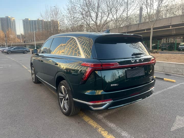 Фото 8 - Wey Lanshan