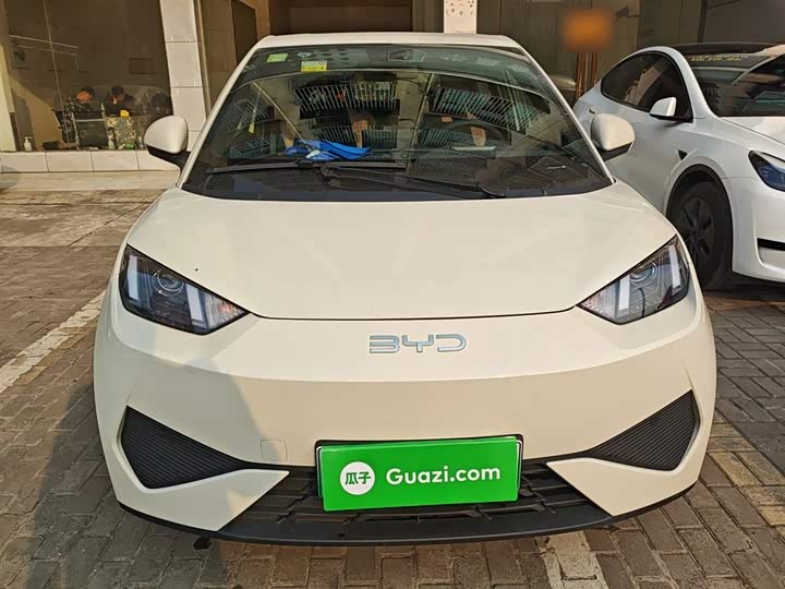 Фото 3 - BYD Seagull