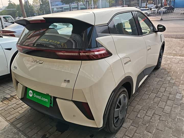 Фото 7 - BYD Seagull