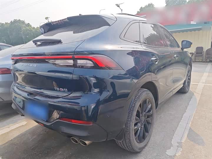 Фото 7 - Dongfeng Forthing T5 EVO