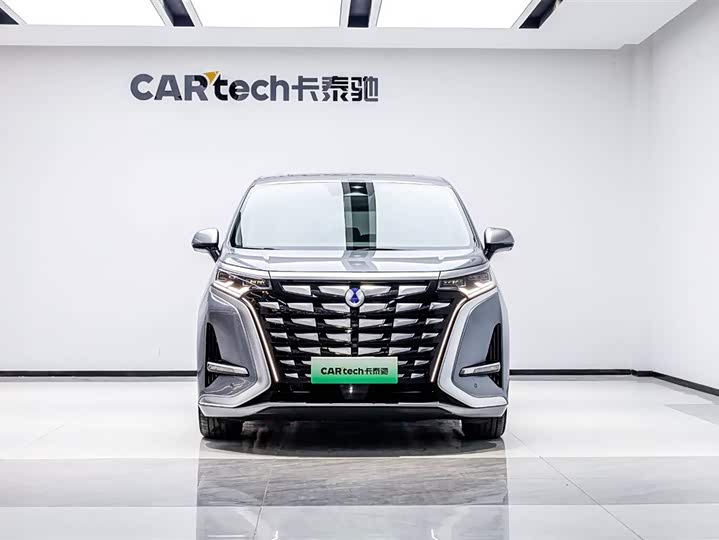 Фото 2 - Denza D9