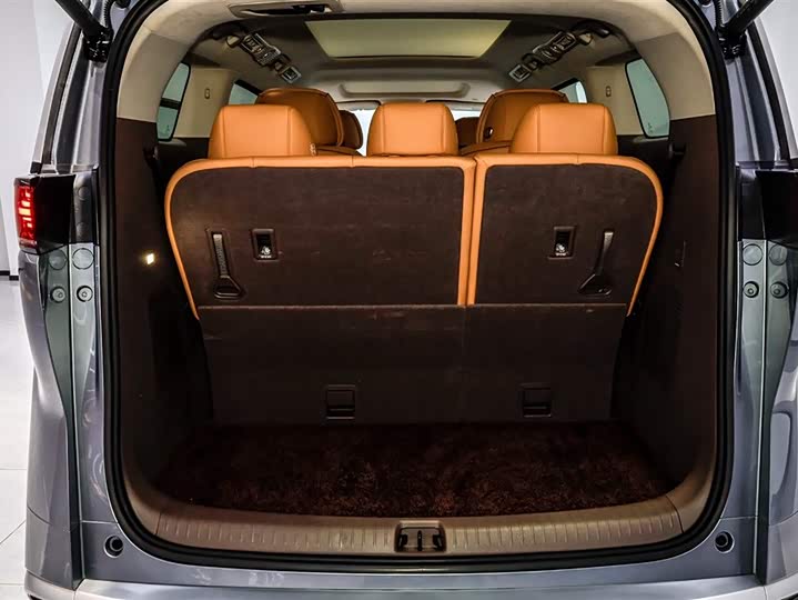 Фото 6 - Denza D9