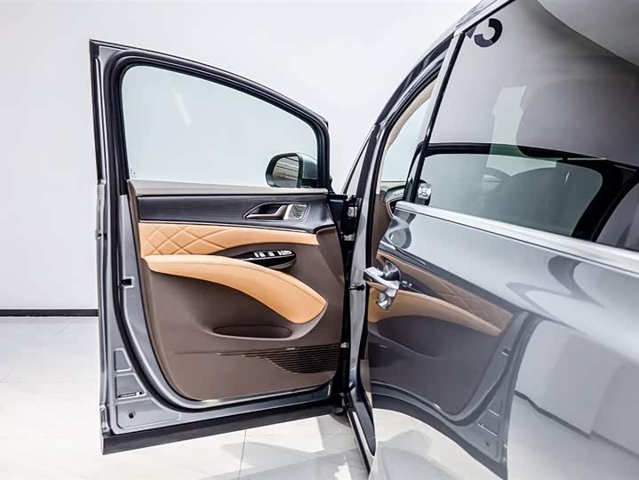 Фото 8 - Denza D9