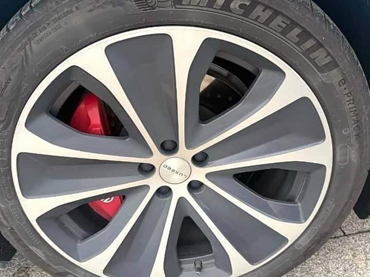 Фото 4 - Luxeed S7