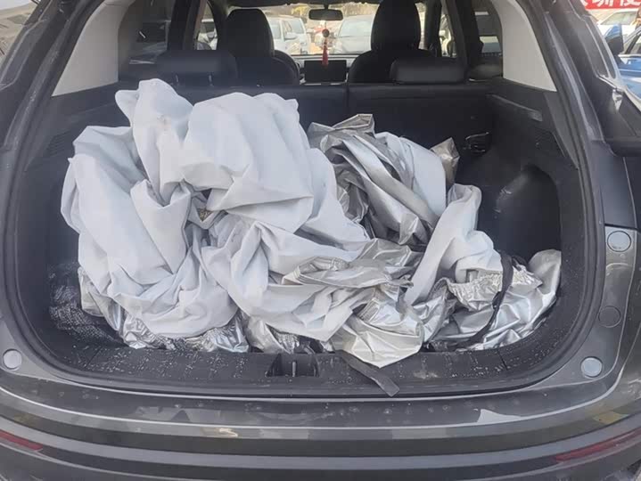 Фото 4 - Geely Coolray