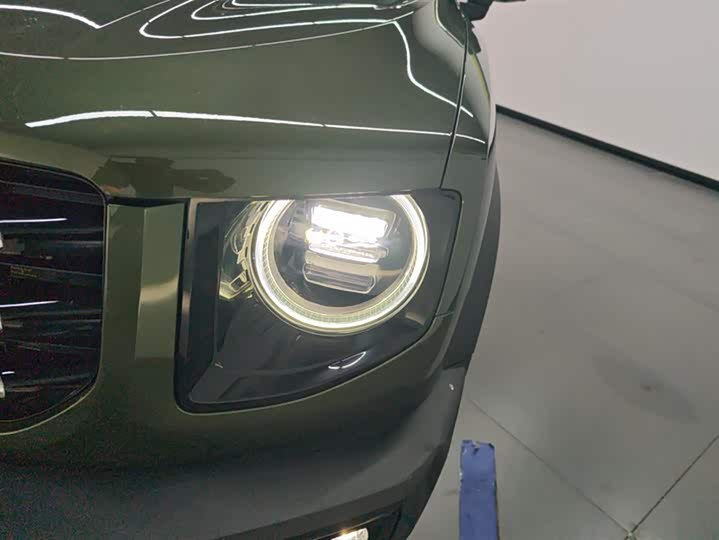 Фото 5 - Haval Dargo