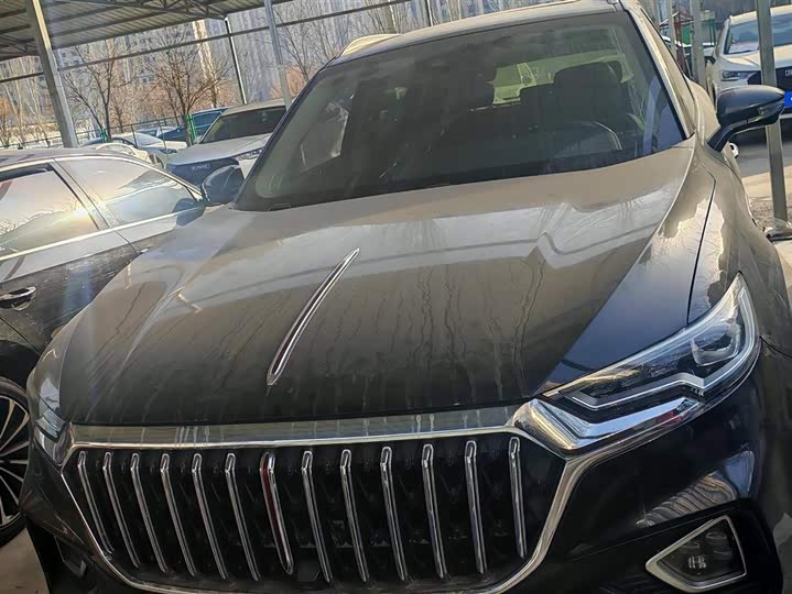 Фото 2 - Hongqi HS5