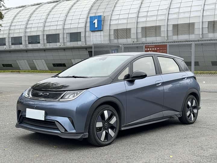 Фото 1 - BYD Dolphin