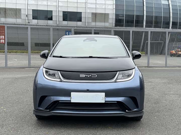 Фото 2 - BYD Dolphin