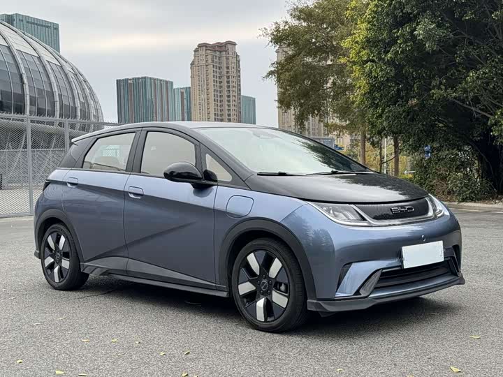 Фото 3 - BYD Dolphin