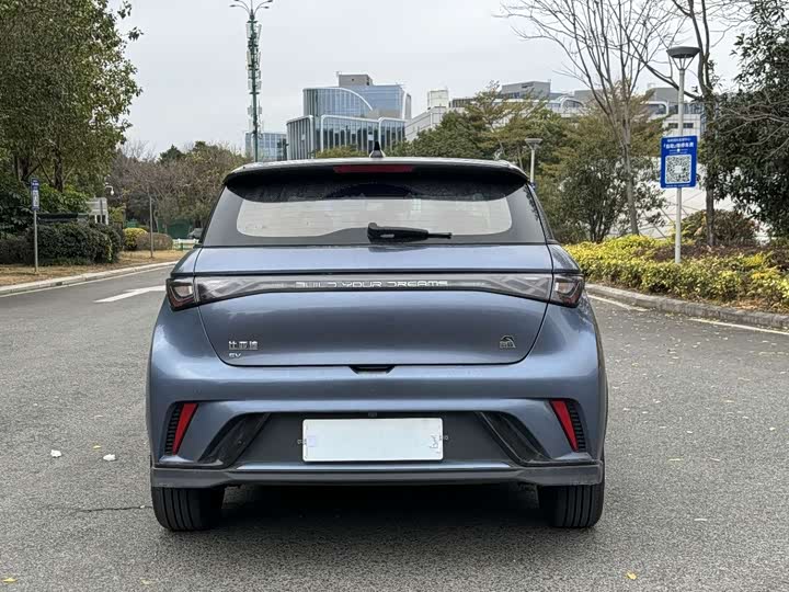 Фото 8 - BYD Dolphin