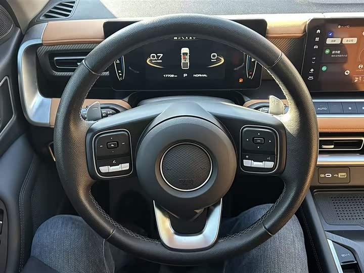 Фото 4 - Great Wall Pao