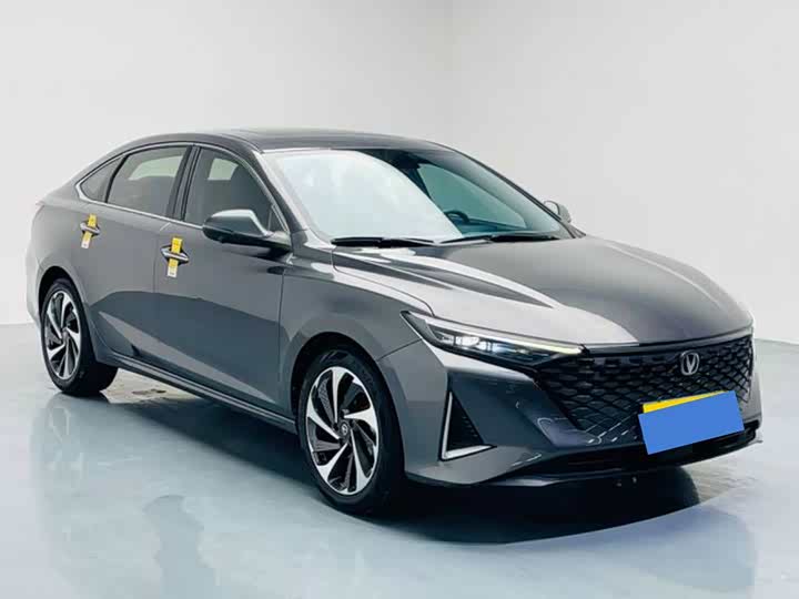 Фото 2 - Changan Raeton Plus