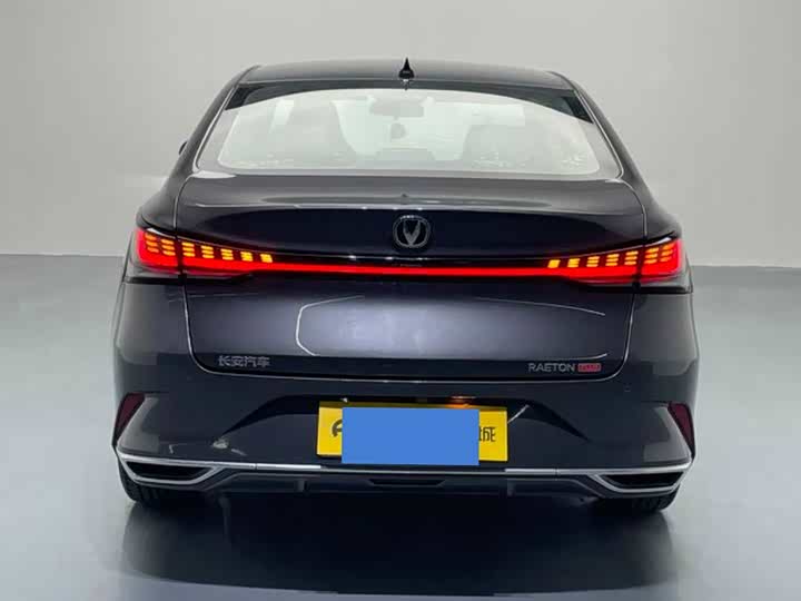 Фото 4 - Changan Raeton Plus