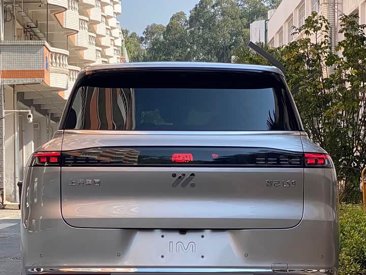 Фото 5 - IM motors LS9