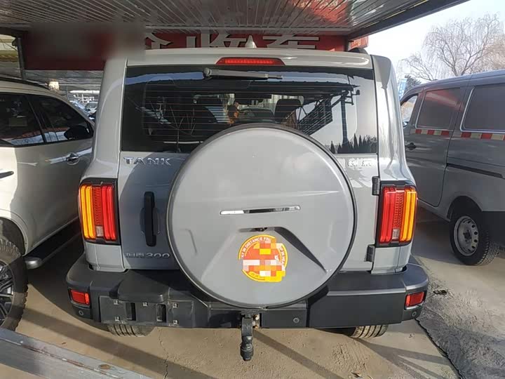 Фото 6 - Tank 300