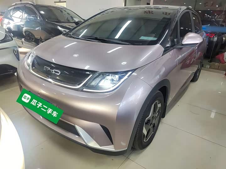 Фото 1 - BYD Dolphin