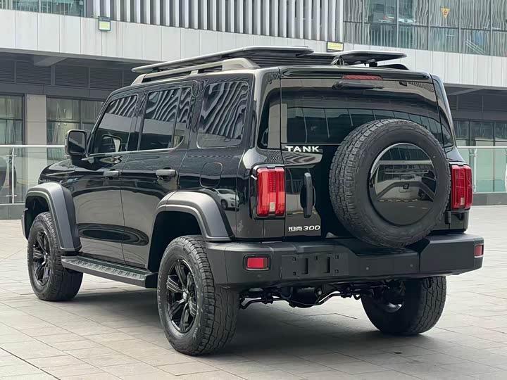 Фото 4 - Tank 300