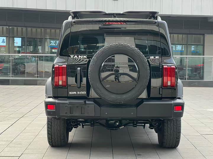 Фото 5 - Tank 300